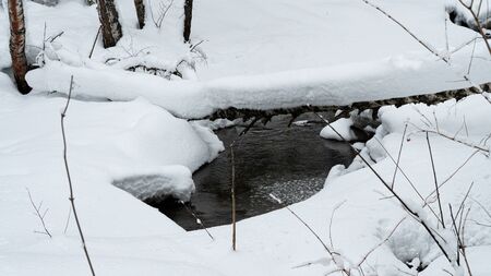 A small mountain stream. Snowy shores. Cold water. Ripples on an icy water surface. Calm flow. The river flows among the snowdrifts. Russia, Siberia, Altai Territory, Belokurikha.の写真素材