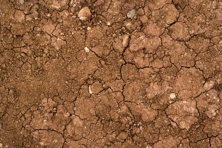 Texture of dried cracked clay. Macro background image of dried clay