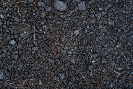 The texture of the gravel road. Covering a forest trail. Gravel covered with needles. Trail in the spruce forest. Hiking trail background image. Spruce needles. Top view. Space for text.の写真素材