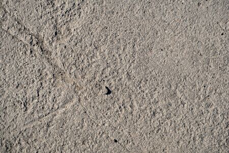 Detailed texture of concrete slab. Cracks in concrete. Old concrete pavement. Reinforced concrete slab covered with cracks. Space for text. Top view. Background for text.の写真素材