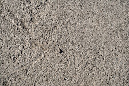 Detailed texture of concrete slab. Cracks in concrete. Old concrete pavement. Reinforced concrete slab covered with cracks. Space for text. Top view. Background for text.