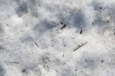 The texture of dirty snow. Spring snow covered with mud. Background image of snowy texture. Background for text. Space for text. Wallpaper. Top view. Spring snow drifts begin to melt.の写真素材