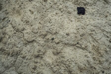 Texture of dried cracked clay. Macro background image of dried clayの写真素材