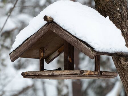 Wooden home-made bird feeder covered in snow. A house for wild birds where you can eat grain. Hungry birds eat in a natural feeder in a cold snow-covered forest.の写真素材