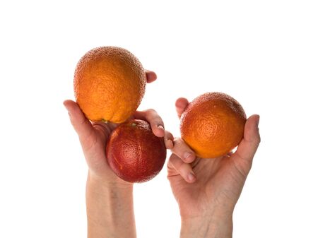 The blood orange is a variety of orange with crimson, almost blood-colored flesh. Female hand holds a bloody orange. Isolated on a white background. Hand of a white woman. Detailed photo.の写真素材