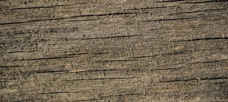 Texture of old wood. Background image. Macro photo.の写真素材