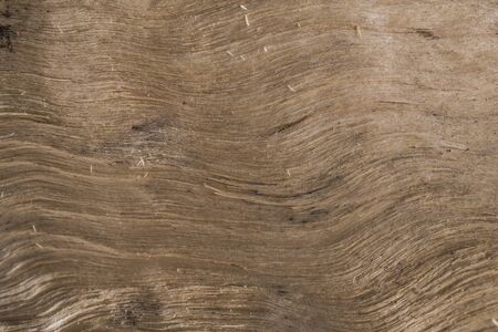 Wood texture. The texture of the wood grain in the cut. Background image of a tree structure.の写真素材