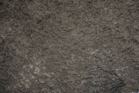 Texture of rough plaster. Background image. Old wall. Untreated surface.の写真素材