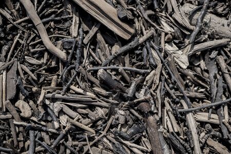 Texture of old wood. Background image. Macro photo.