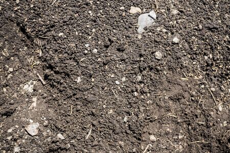 The texture of the earth. Background image. Siberian soil. Macro photo.の写真素材