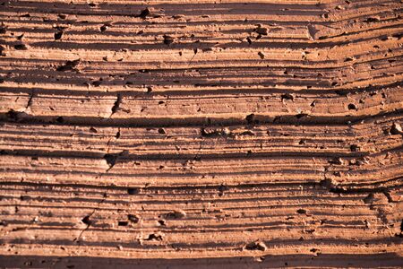 The texture of the bricks. Macro shot of bricks. Abstract background image. Close shot.の写真素材