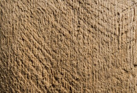 Texture of old wood. Background image. Macro photo.の写真素材