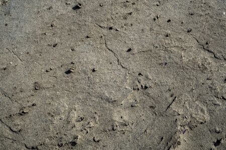 Sand texture. Background image. Macro photo.の写真素材