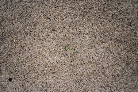 Sand texture. Background image. Macro photo.の写真素材