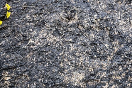 The texture of the stone overgrown with moss. Background image of a boulderの写真素材