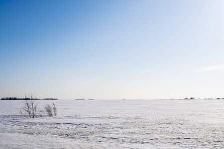 Background image of the snowy landscapes of Siberia.の写真素材