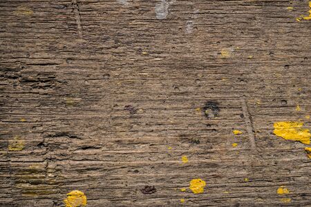 Texture of old wood covered with paint. Background Image. Macro photo.の写真素材