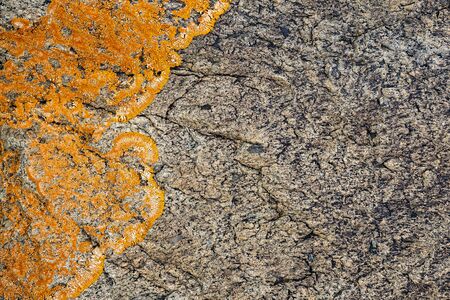 The texture of the stone overgrown with moss. Background image of a boulderの写真素材