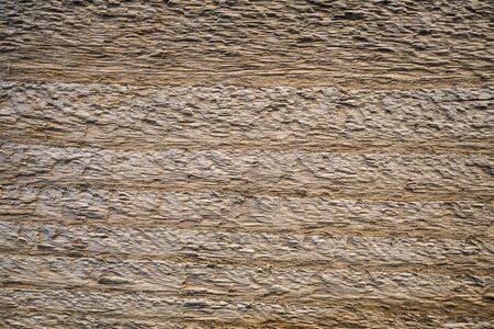 Wood texture. The texture of the wood grain in the cut. Background image of a tree structure.の写真素材