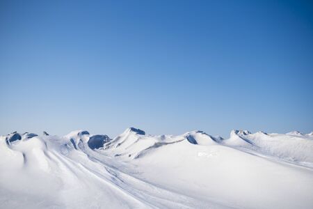 Background image of the snowy landscapes of Siberia.