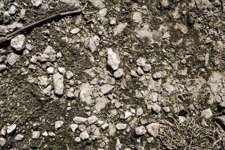 The texture of the earth. Background image. Siberian soil. Macro photo.の写真素材