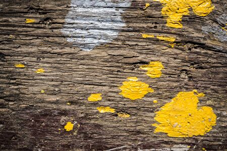 Texture of old wood covered with paint. Background Image. Macro photo.の写真素材