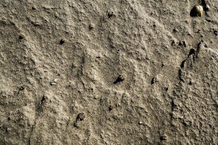 Sand texture. Background image. Macro photo.の写真素材