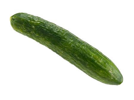 Isolated vegetable on a white background. Ripe cucumber. Harvest fresh vegetables. Healthy diet. Green cucumber. Source of vitamins. Vegetable diet. Ingredient for making salad.の写真素材