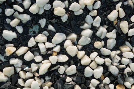Background image of black and white stones. The texture of wet filler for the pool. The bottom is strewn with black and white rounded pebbles. Filler for an aquarium from small pebbles.の写真素材