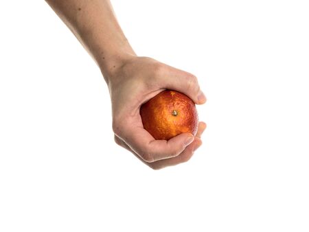 The blood orange is a variety of orange with crimson, almost blood-colored flesh. Male hand holds a bloody orange. Isolated on a white background. The hand of a white man. Detailed photo.の写真素材