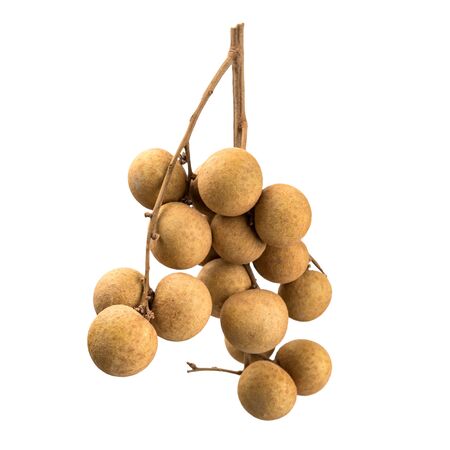 Longan fruit isolated on white background. Sprig with fruits longan. Eye of the Dragon. Source of vitamins. Asian fruits. Ingredient for cooking. Fruit diet. Healthy diet. Delicious exotic fruit.の写真素材
