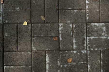 Texture of paving slabs overgrown with grass. Background image of a stratum stoneの写真素材