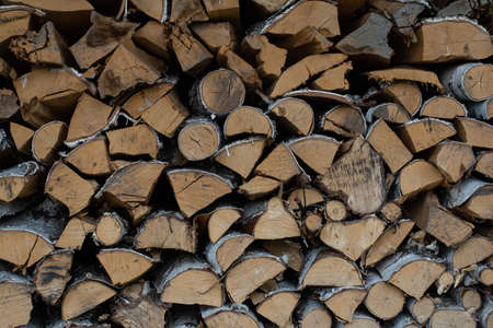 Birch firewood neatly stacked in a woodpileの写真素材