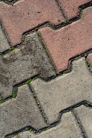 Detailed texture of paving slabs close upの写真素材