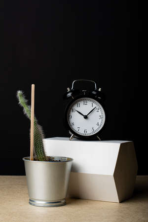 The clock stands on a plaster prism. The cactus grows from a metal bucket. Composition in the dark...