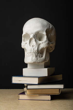 plaster skull stands on a stack of books. Vertical composition in a dark key.の写真素材