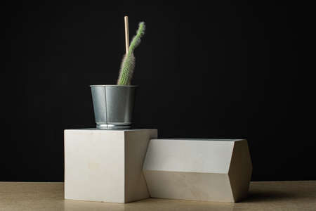 A cactus in a metal bucket stands on a gypsum cube, next to it lies a gypsum prism. Composition in the dark key.の写真素材