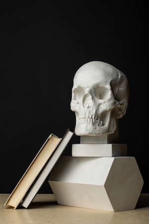 The skull stands on a plaster prism, two books lie nearby. Composition in the dark key.の写真素材