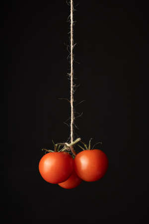Tomatoes hang on a rope on a dark backgroundの写真素材