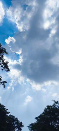 clouds in the blue sky with silhouette of a tree in the foreground