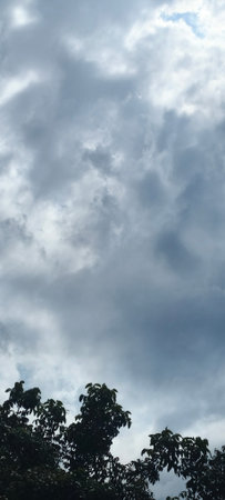 Cloudscape has been developing in gorgeous form. The sky is full of beautiful clouds.