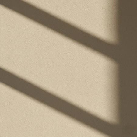 shadow on a white wall in a room with sunlight and shadows.の素材