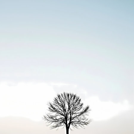 silhouette of a tree against a blue sky with white cloudsの素材