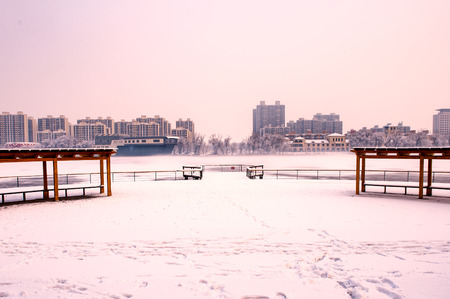 Snow scenery and rime in the park