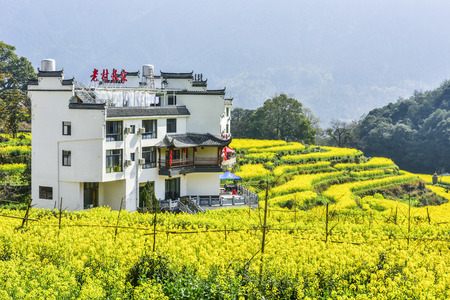 Spring of Wuyuan Ridge in China - March 22, 2018, a beautiful mountain village with flowers blooming, was photographed in Jiangling, Wuyuan County, Shangrao City, Jiangxi Province, China.のeditorial素材
