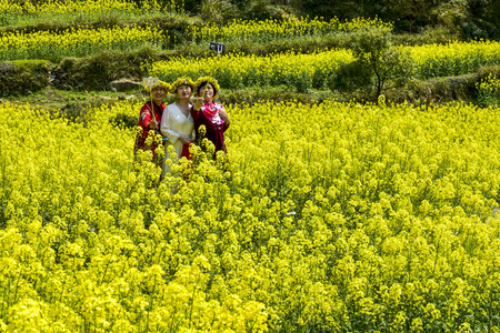 tourist taking photo in canola flower fieldのeditorial素材