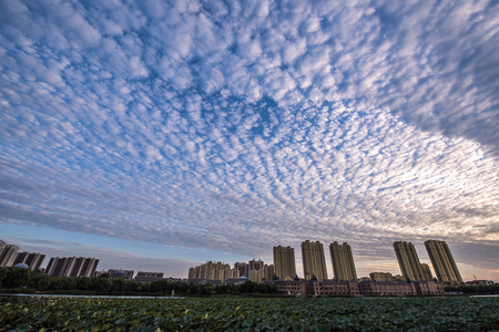 City Park landscapeのeditorial素材