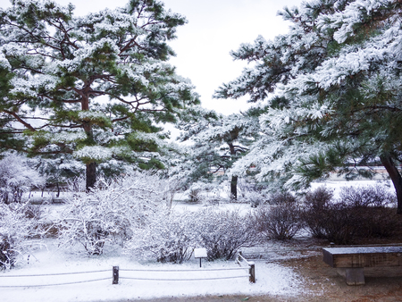 Seoul Park in South Korea in Winter and Snowのeditorial素材