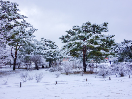 Seoul Park in South Korea in Winter and Snowのeditorial素材