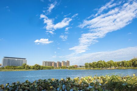 River Landscape in Urban Parksの写真素材
